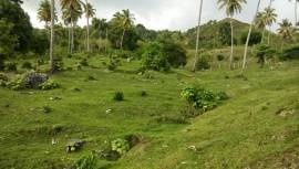 ¡Oportunidad Única de Inversión en Samaná!