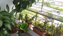 Apartamento en venta en Julieta Morales