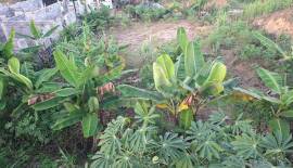 ¡Oportunidad de inversión en Santo Domingo Norte – Villa Mella!